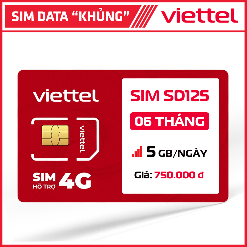 sim data 6sd125